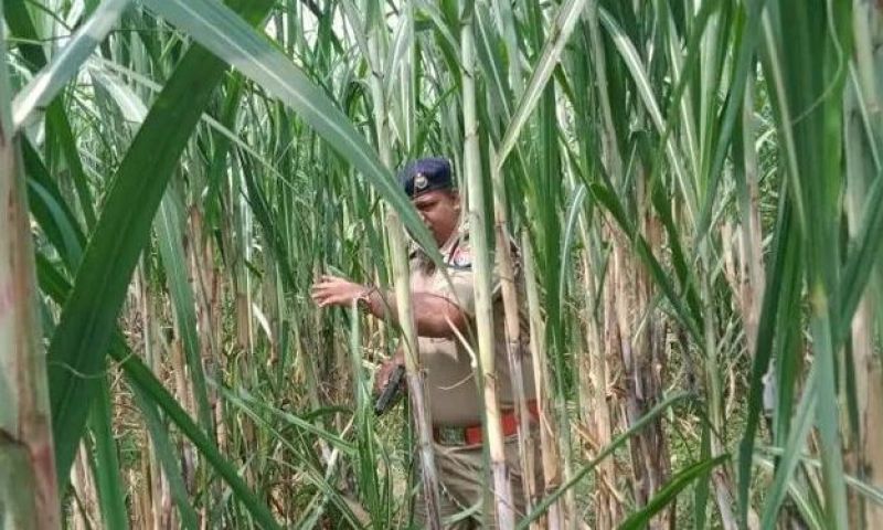 Dalit Sisters Killed