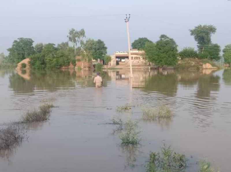 60 villages of Ferozepur affected by floods