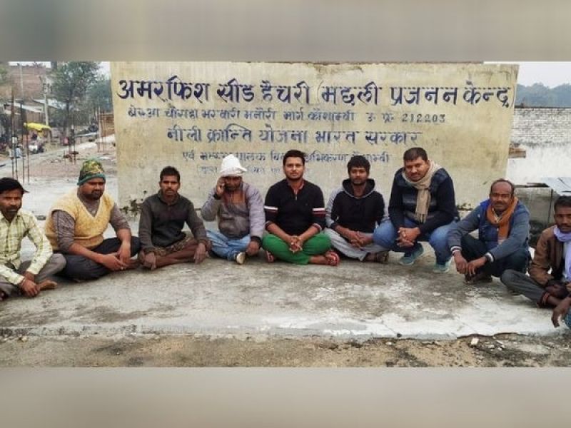 Instead of getting a job, a young man with a civil engineering degree started a fish farming business.