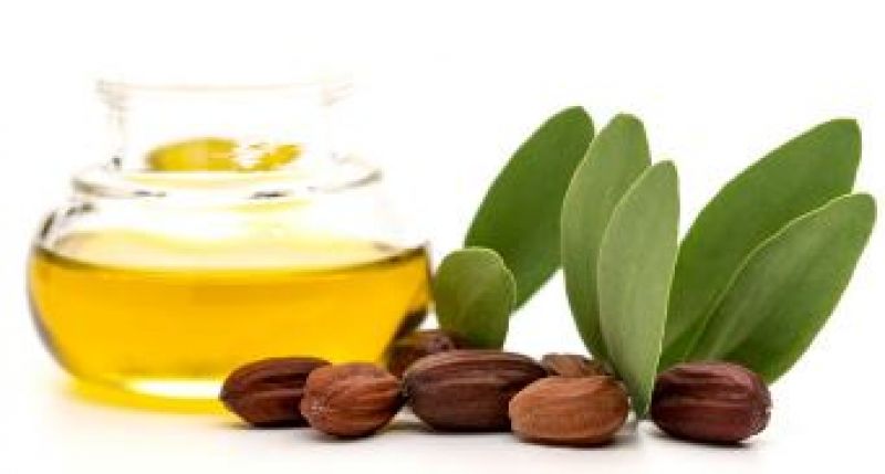 Jujoba Oil