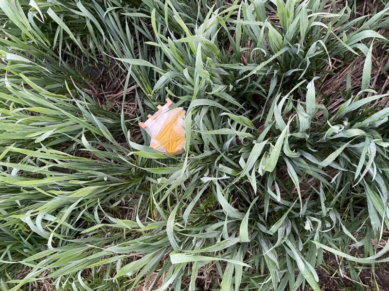 Drones at India-Pakistan border