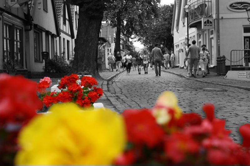 Google 'Color Pop' Feature