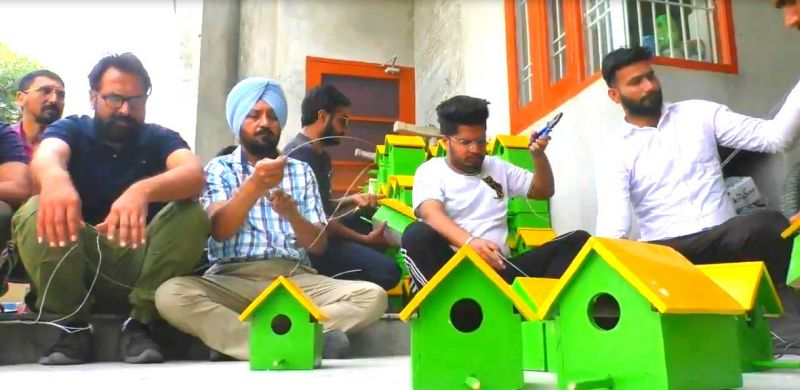 Youngsters from village Dhaula trying to save the birds