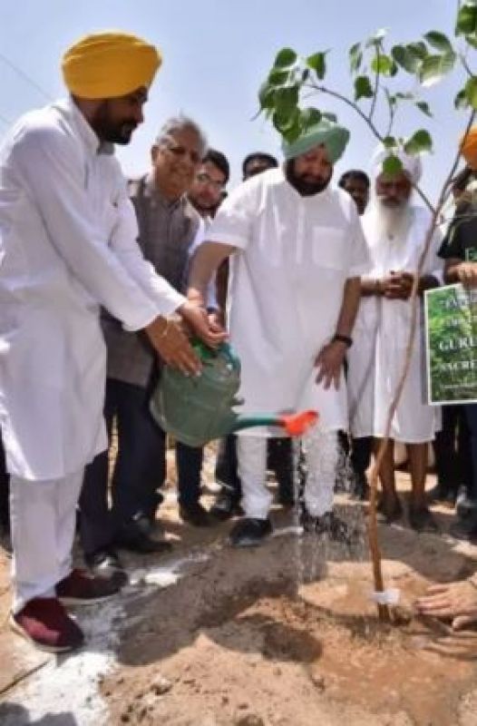 Captain Amarinder Singh