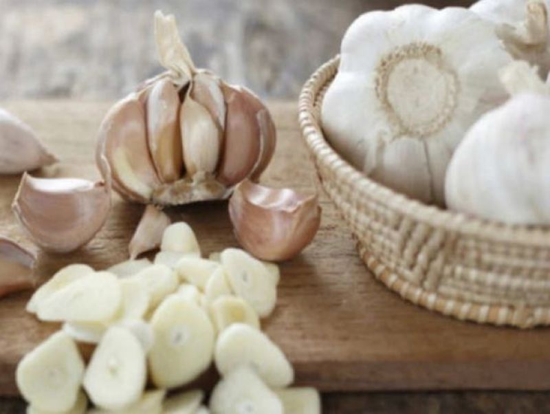 Garlic