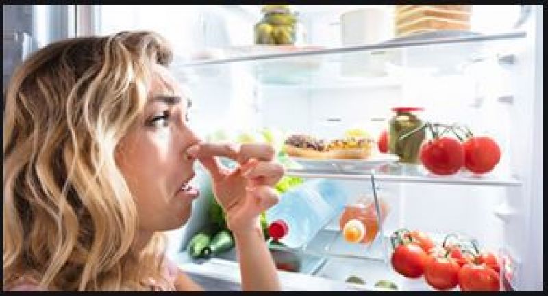 Fridge Smell