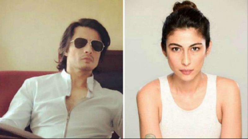 Ali zafar's case 