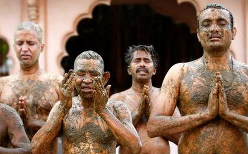 Indian doctors warn against cow dung as COVID cure