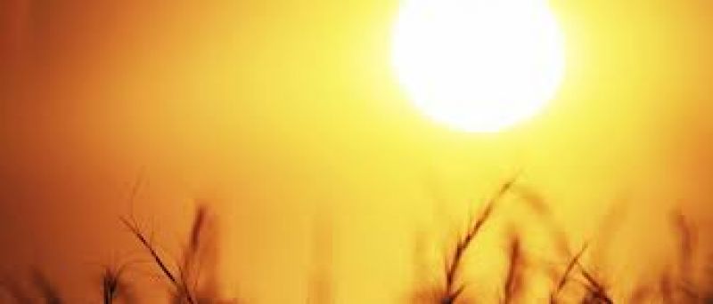 Indian girl died in us