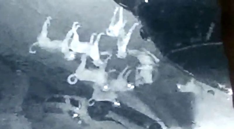 In Gurdaspur, a laborer was bitten to death by stray dogs