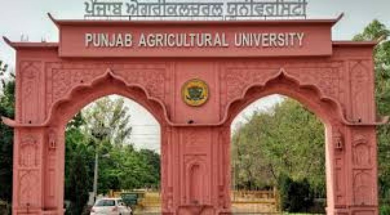Punjab Agricultural University