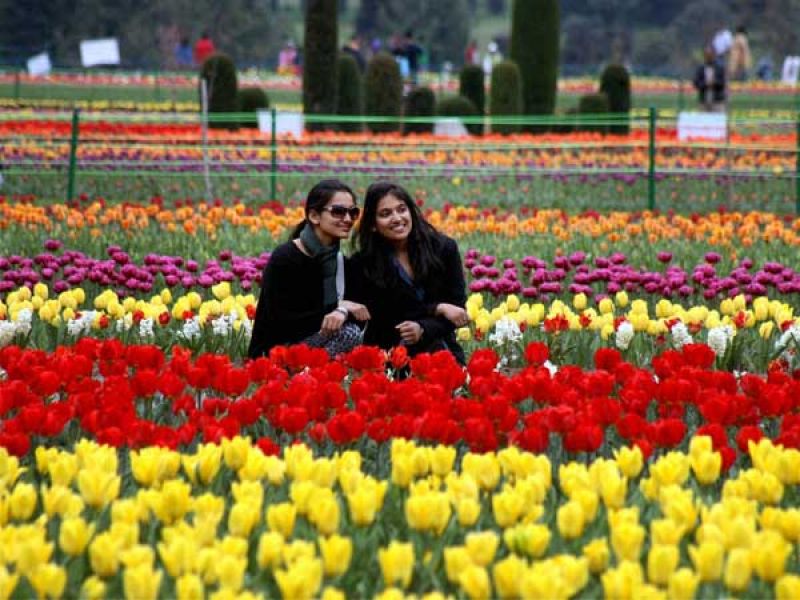 Indira Gandhi Memorial Tulip Garden
