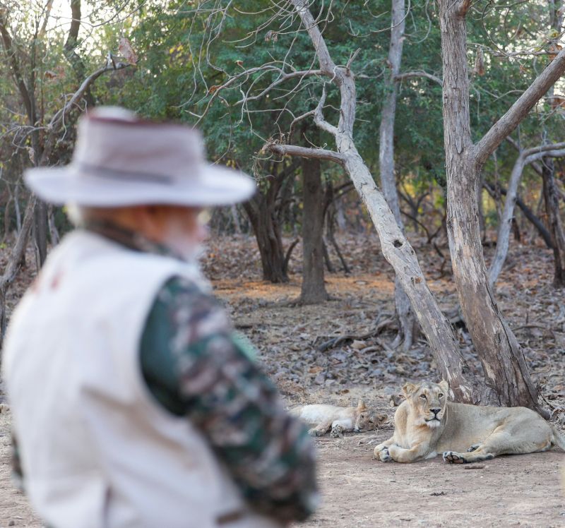 PM Narendra Modi visited Gir National Park in Gujarat