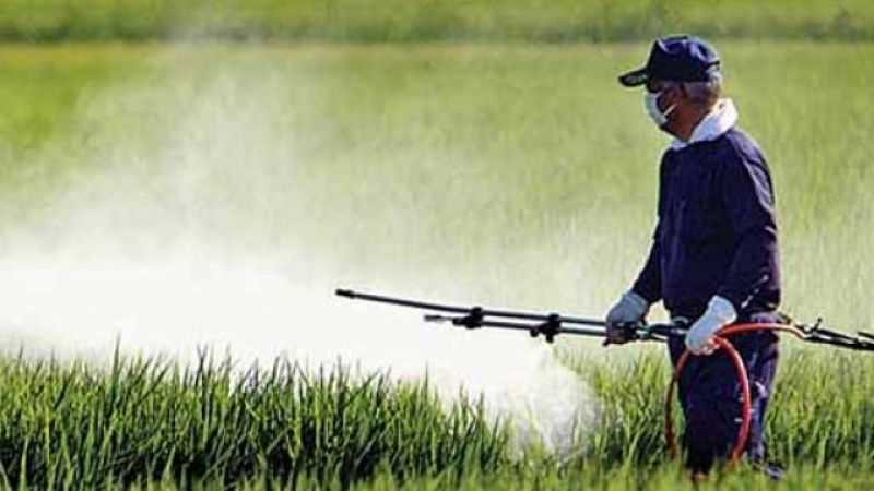 Made in india ddt kill insects deadly for newborns can be reason of dangerous diseaseMade in india ddt kill insects deadly for newborns can be reason of dangerous disease