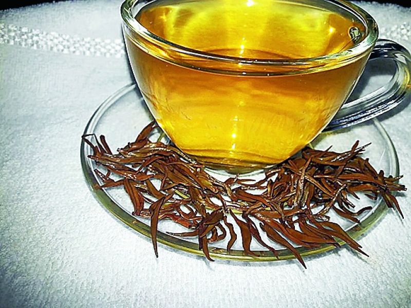 Donyi Polo tea
