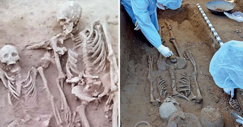 Harappan-Era Skeletons