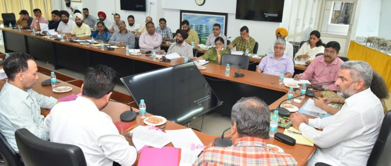 Punjab government will plant more than 80000 saplings to make Mattewara forest more green