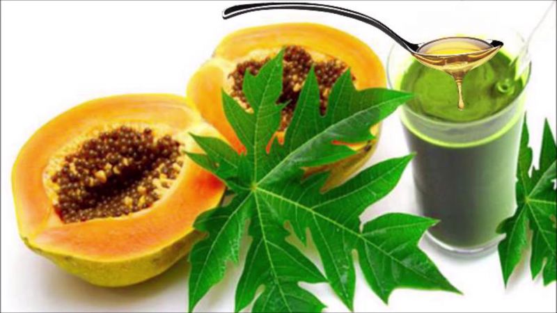 Papaya leaf juice is helpful