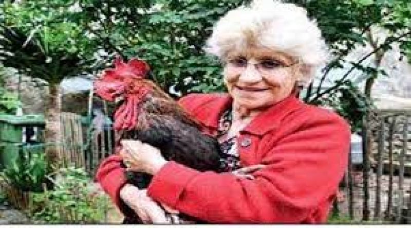 Rooster wins french court battle over right to make noise