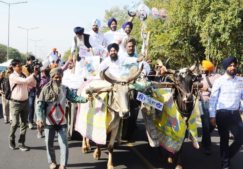 harinderpal singh chandumajra