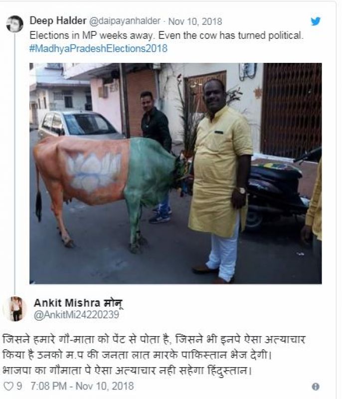 BJP flag painted on cow