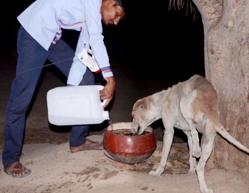 In this Gujarat village, canines are crorepatis