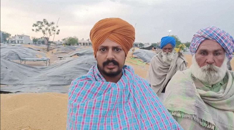 Wheat crop soaked in rain