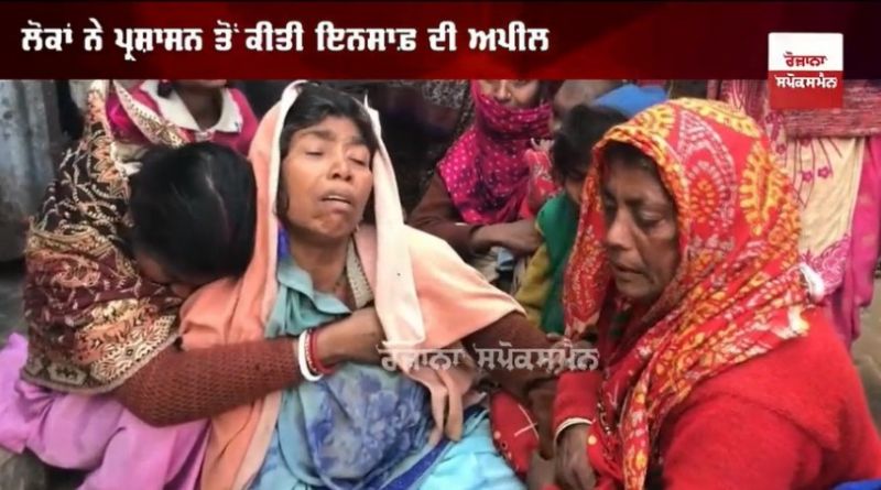 straydogs snatched and killed the innocent child