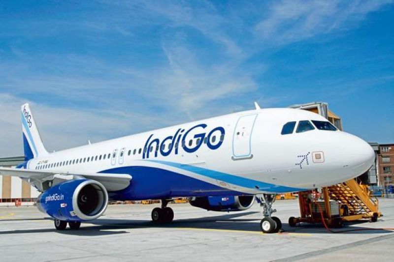 Indigo 