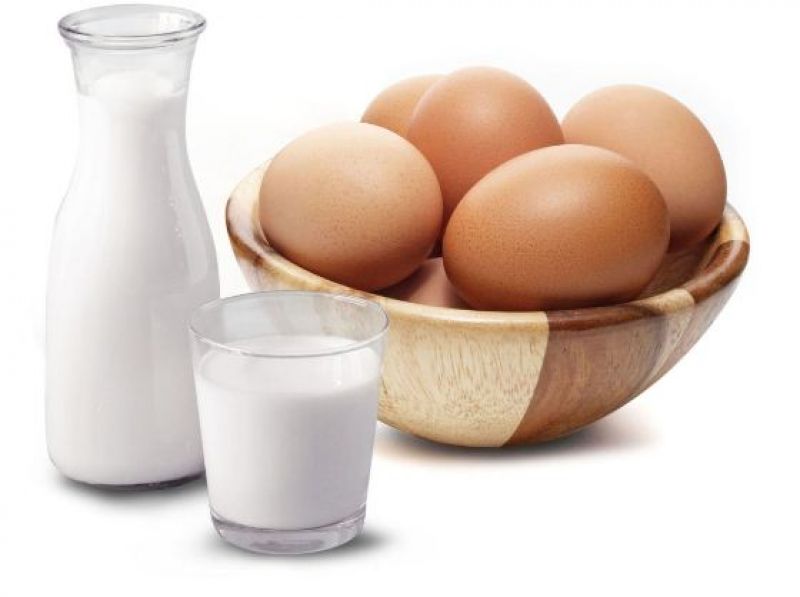 Egg and Milk