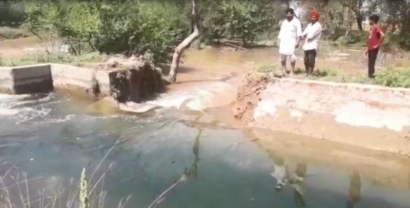 Waterlogged wheat crop due to breach in New Dhandal canal