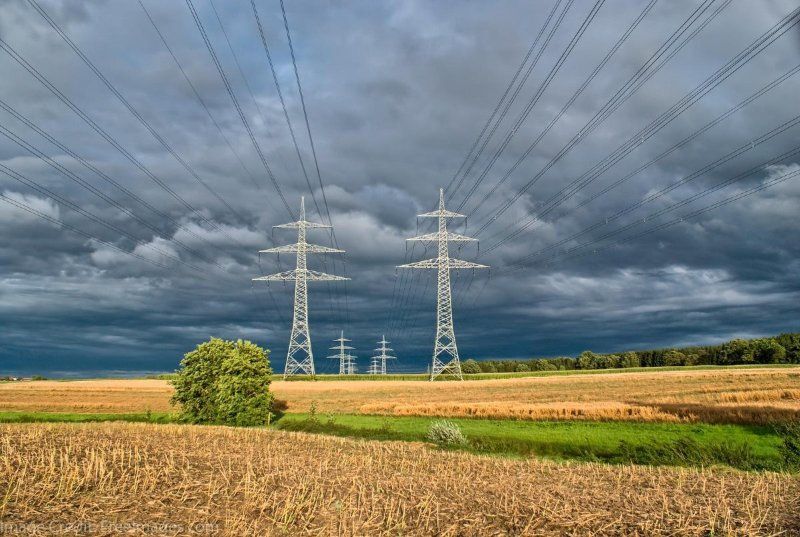 Punjab State Electricity