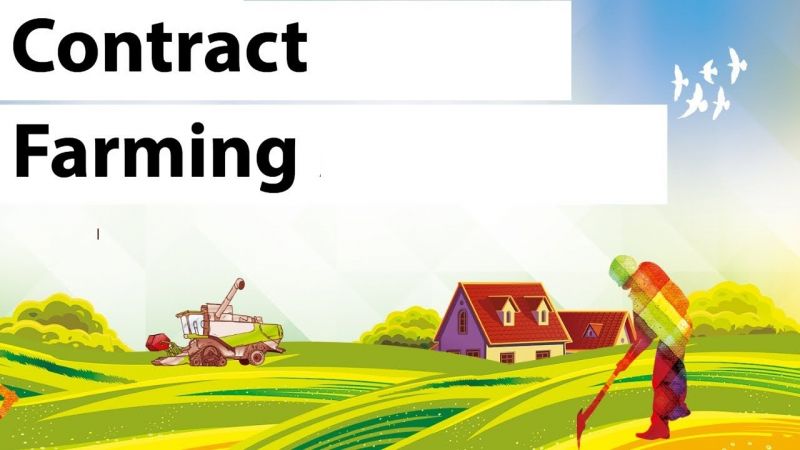 contract farming