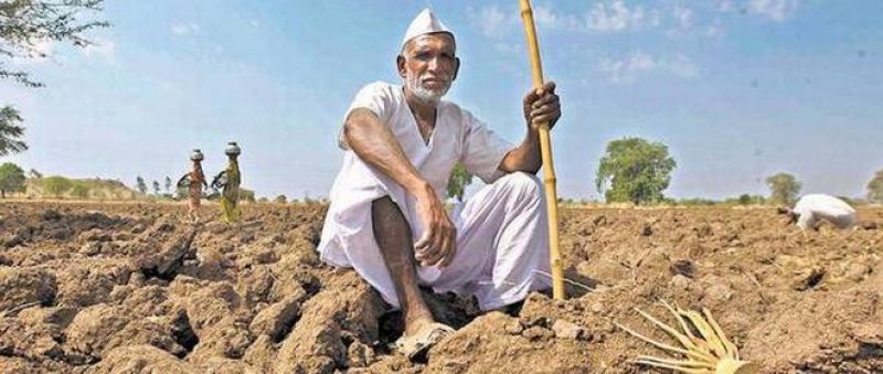 Maharashtra Farmer