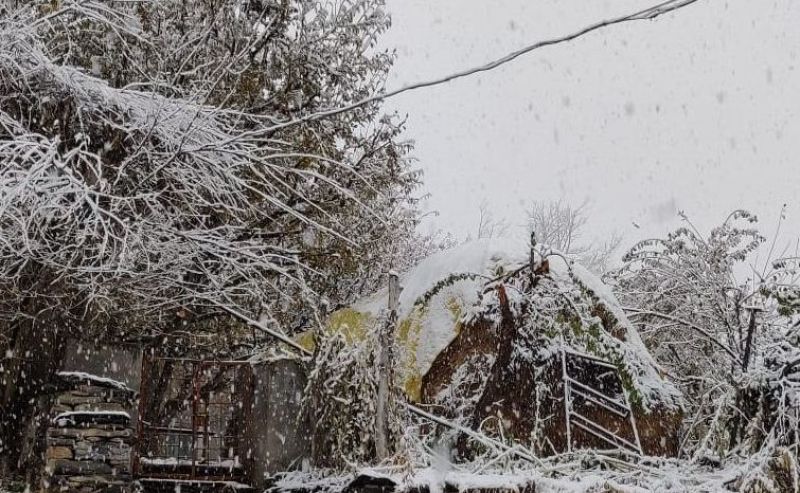 Pattan valley in Lahul-Spiti