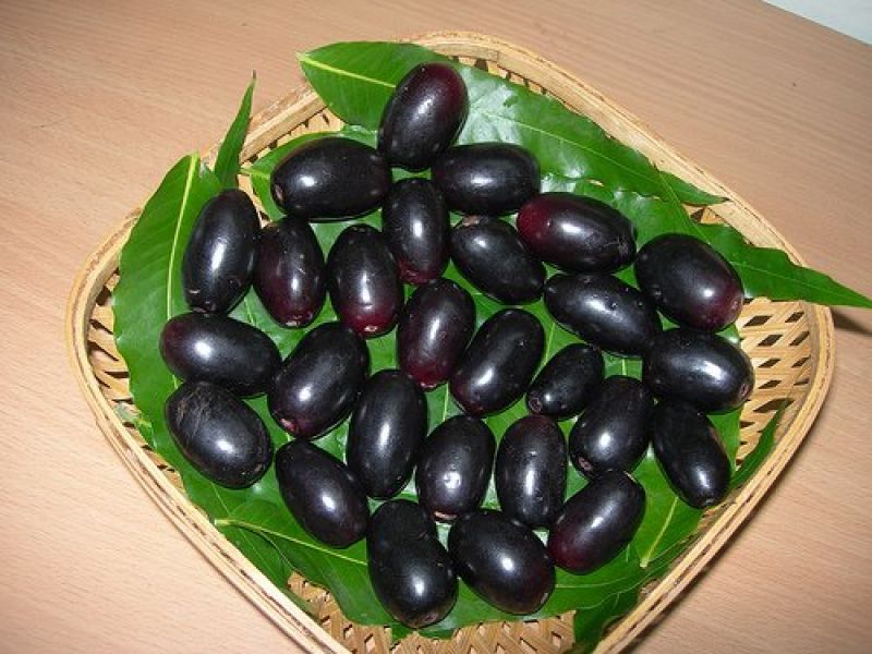 Black Plum