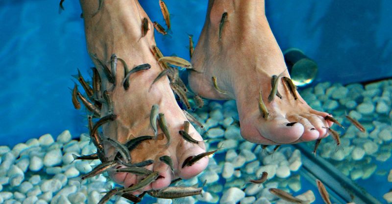 Fish Pedicure