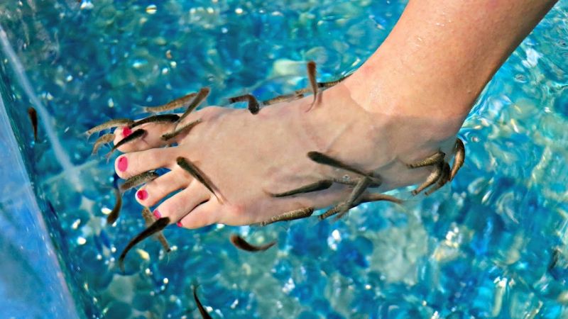 Fish Pedicure