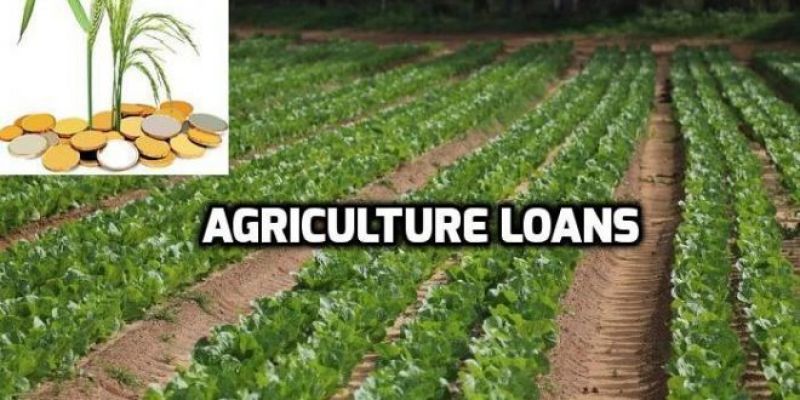 Agriculture Loans