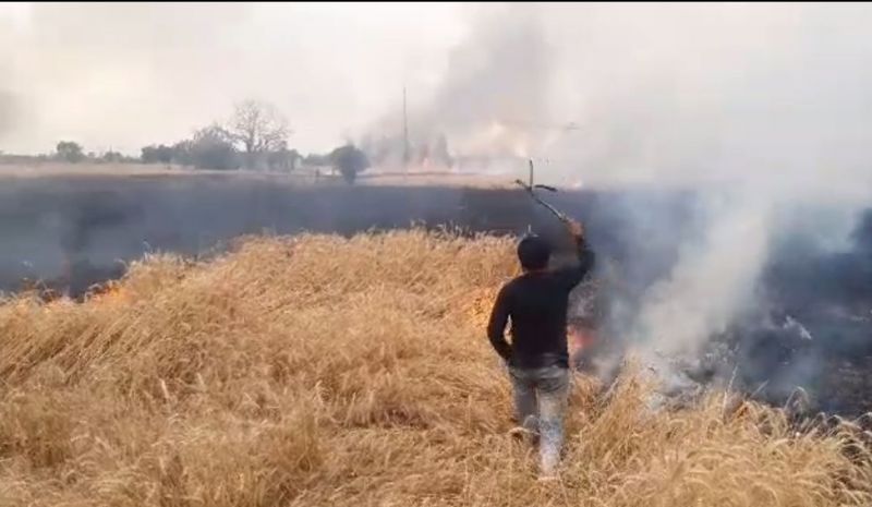 Wheat crop damaged in fire