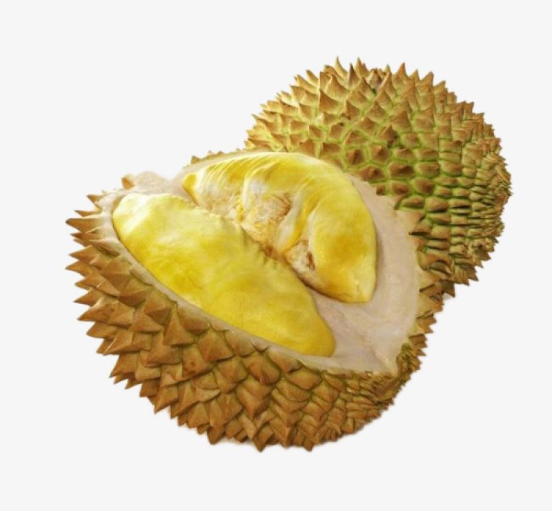 Durian Fruit