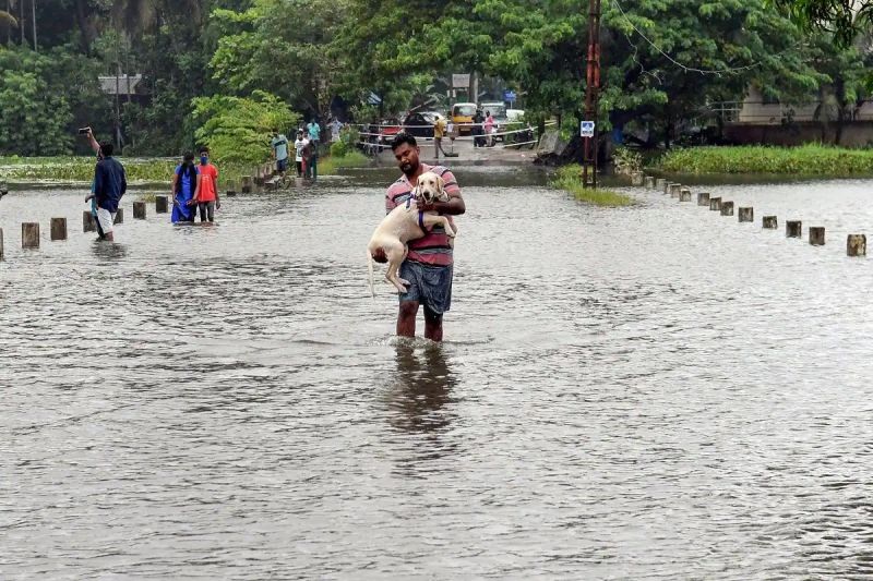 Heavy rains wreak havoc in Kerala