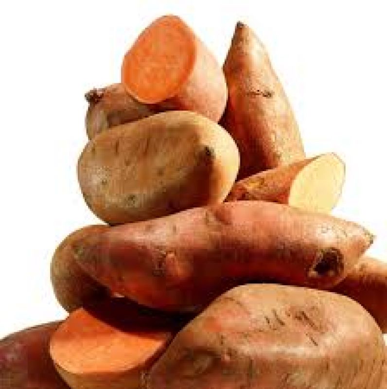 sweet potato 