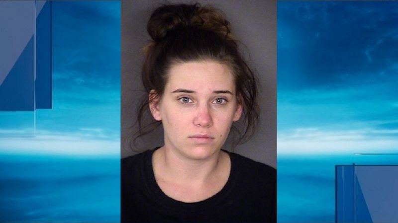Mom sentenced for leaving kids in car overnight