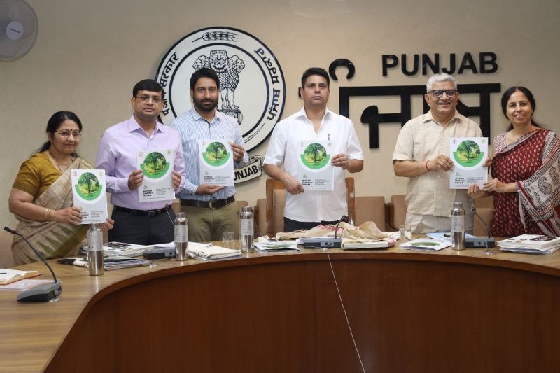 Single-Use Plastic Banned From July 