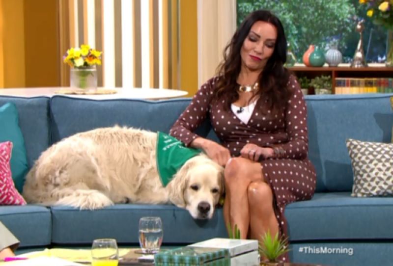 British model married dog