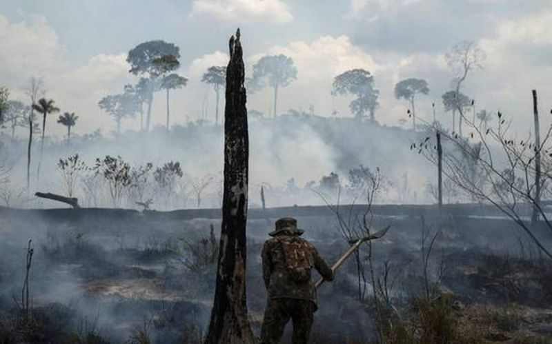 Fires in Brazil's Amazon up 28% in July