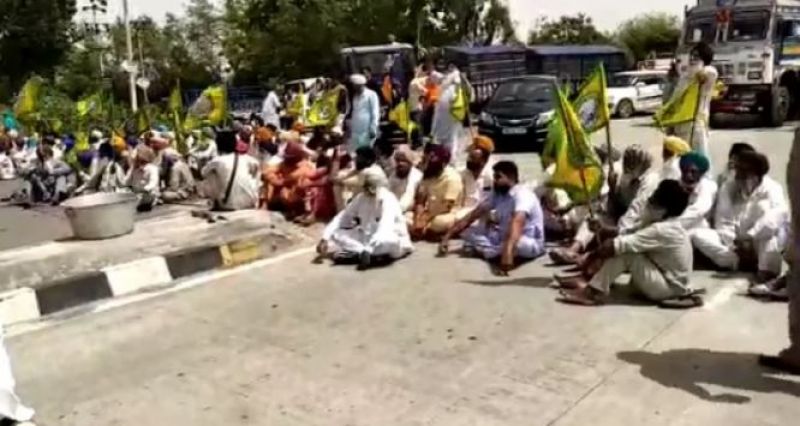 Farmer Protest