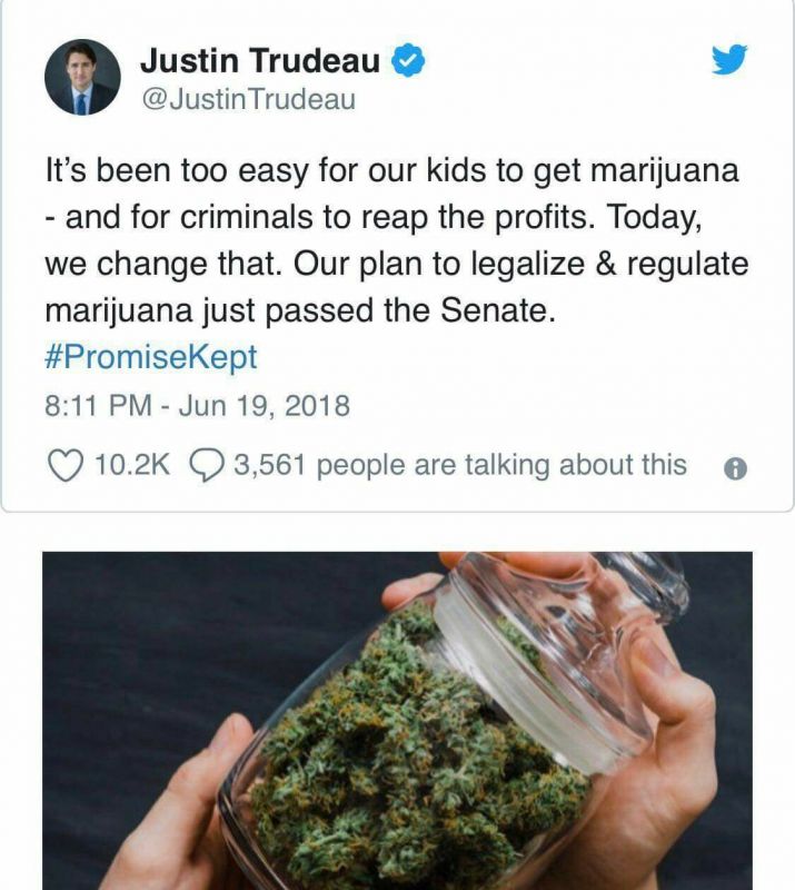 Canada passes bill to legalize marijuana