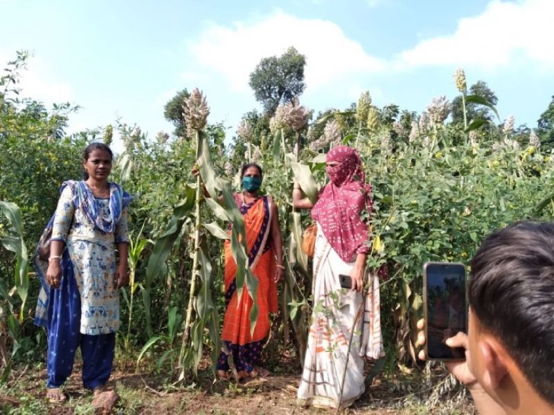 Ushaben Vasava earning 2 lakh rupees every year by organic farming